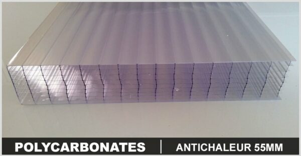 Polycarbonate 55mm ANTICHALEUR